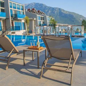 Suite Pool View
